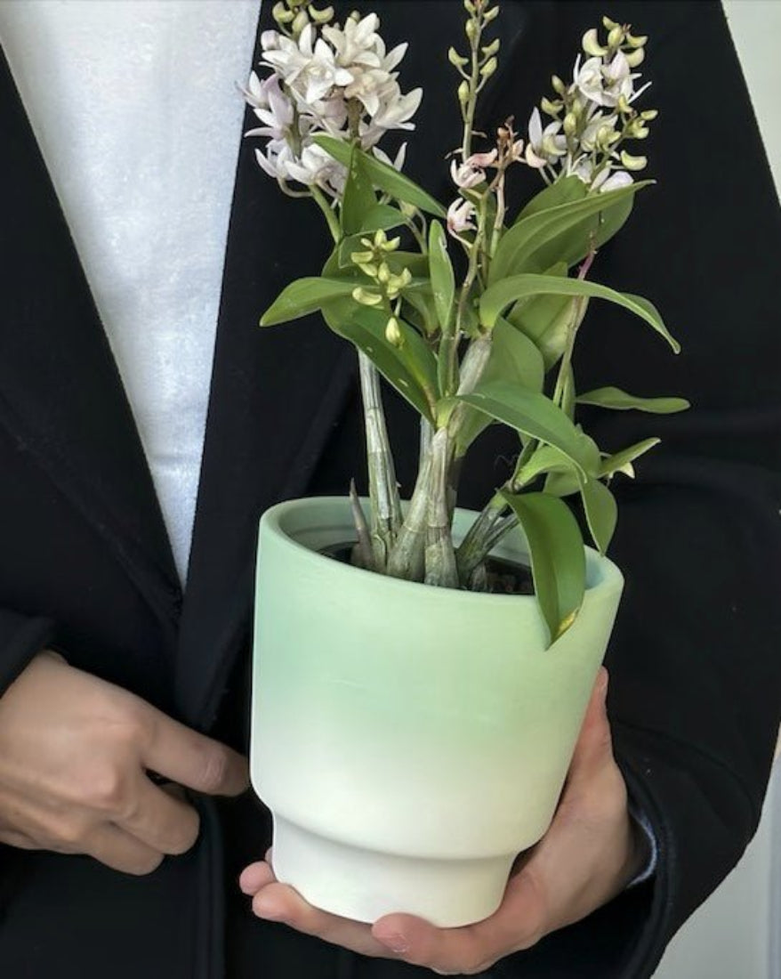 Handmade Macaron Flower Pots
