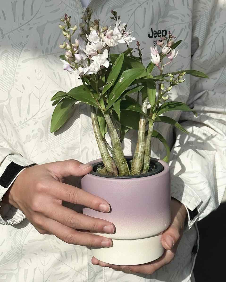 Handmade Macaron Flower Pots