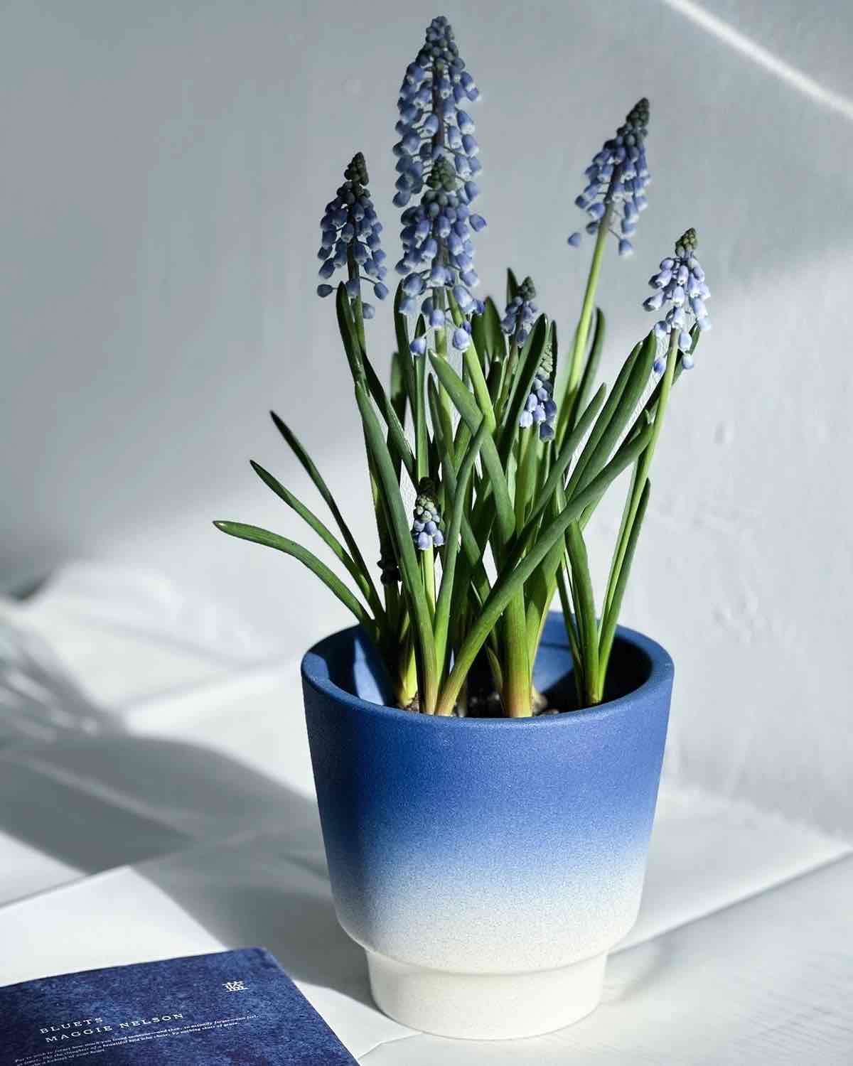 Handmade Macaron Flower Pots
