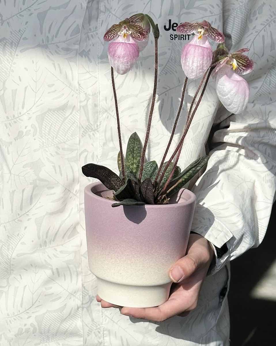 Handmade Macaron Flower Pots