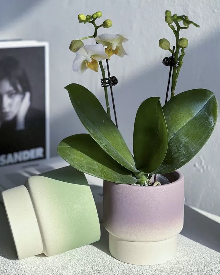 Handmade Macaron Flower Pots