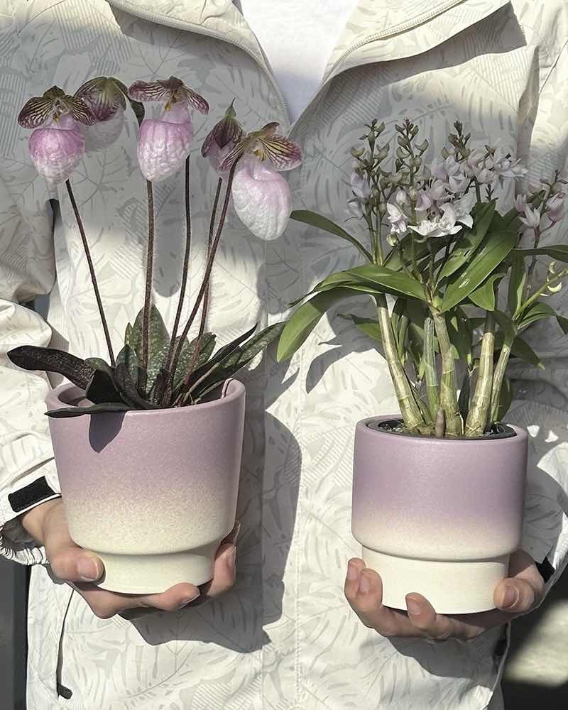 Handmade Macaron Flower Pots