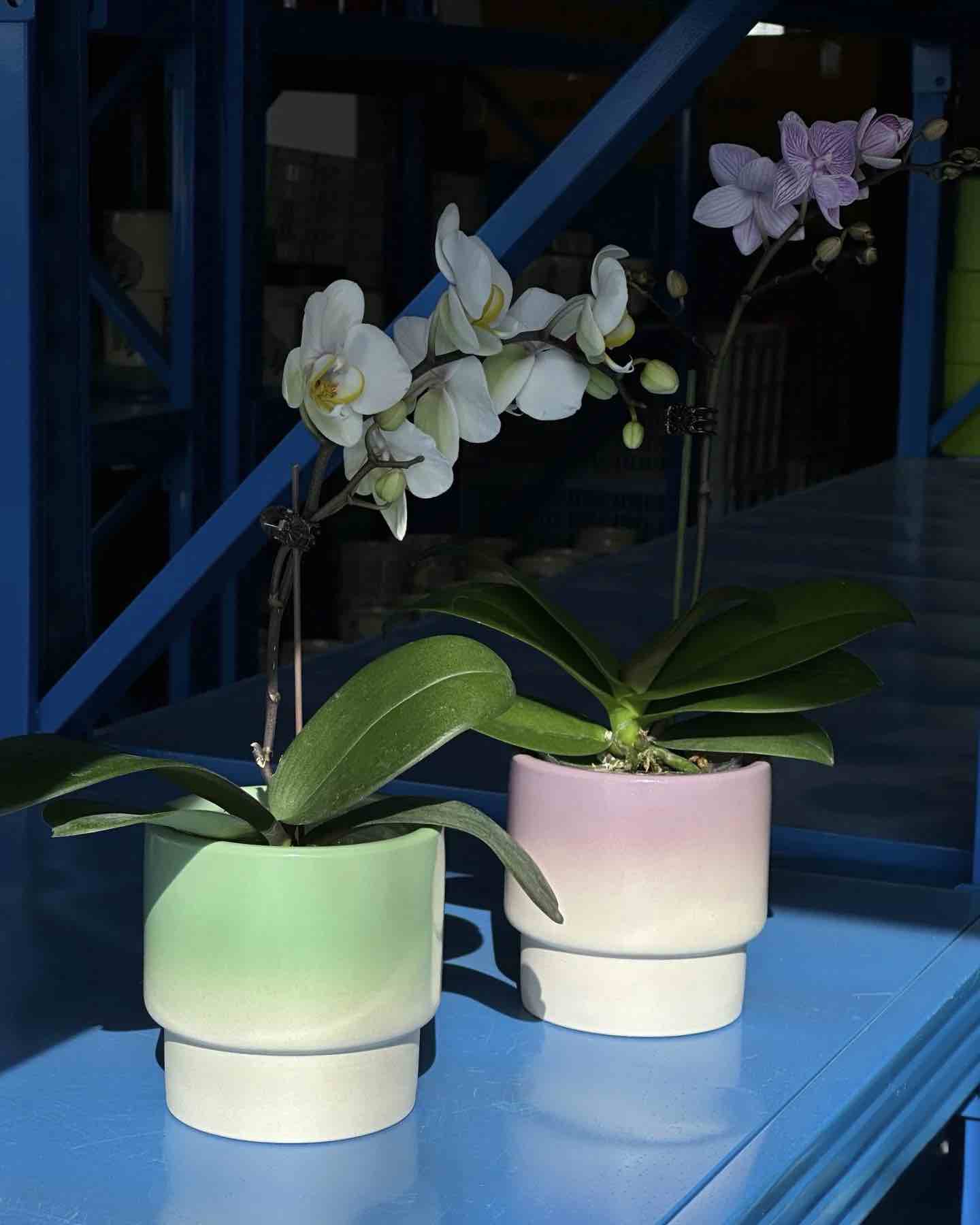 Handmade Macaron Flower Pots