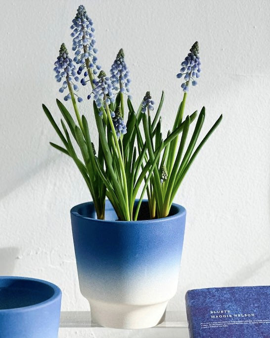 Handmade Macaron Flower Pots
